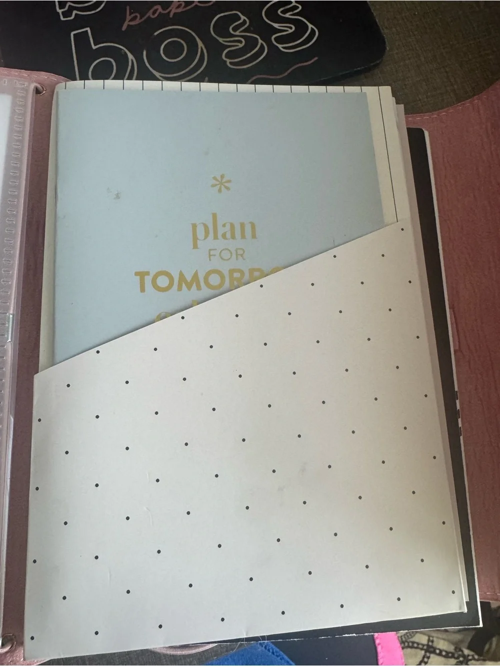Soft Pink Happy Planner Folio Elegant Polka-Texture